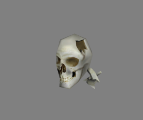 Skull fragment2.png