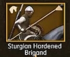 Sturgian Hardened Brigand.jpg