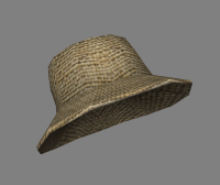 Straw hat.png